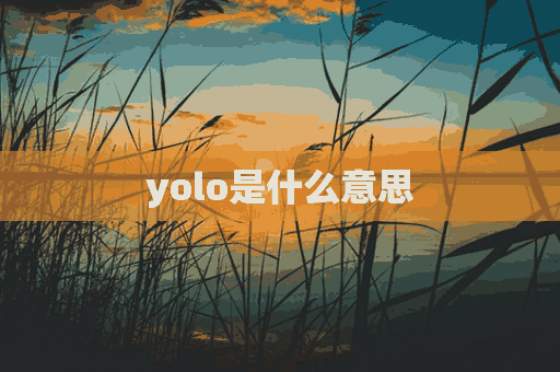 yolo是什么意思